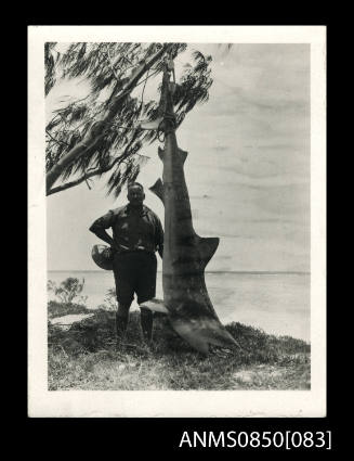 Tiger shark caught during an Embury expedition