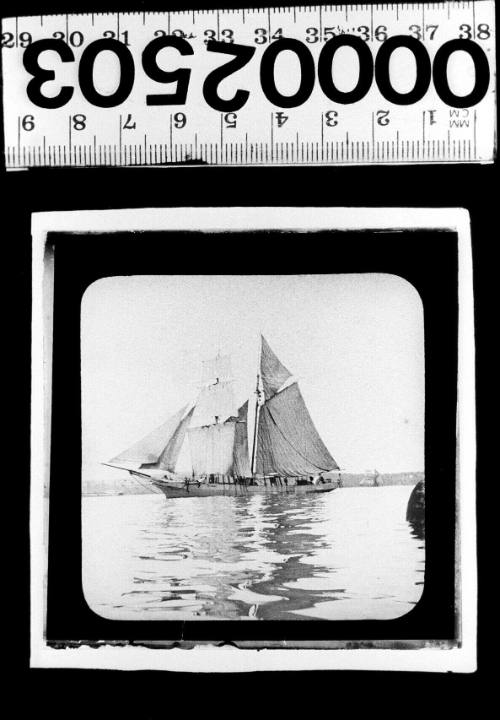 Hermaphrodite brig / brigantine sailing on Sydney Harbour, New South Wales