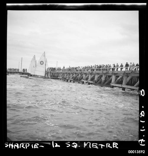 12 metre Sharpies possibly  on Botany Bay