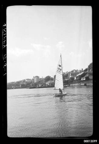 SKIPPY on Sydney Harbour