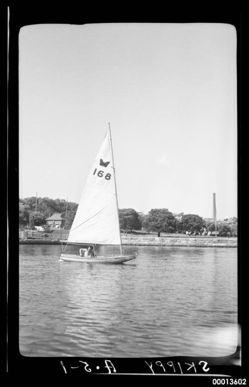 SKIPPY on Sydney Harbour