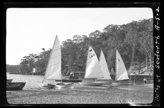 Moth class dinghies " on the hard" possibly in Seaforth area of Sydney Harbour.