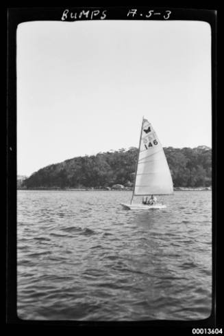 Moth class dinghy BUMPS sailing on Sydney Harbour