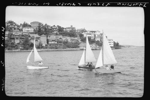 Yachting World Cadet dinghies on Sydney Harbour.