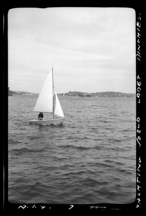 Yachting world cadet dinghy on Sydney Harbour