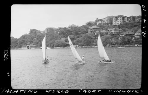 Yachting World cadet dinghies on Sydney Harbour