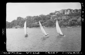 Yachting World cadet dinghies on Sydney Harbour