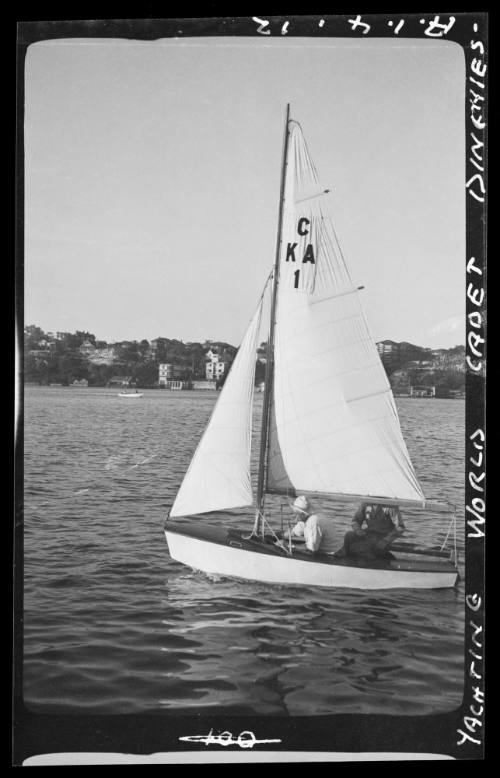 Yachting World cadet dinghies on Sydney Harbour