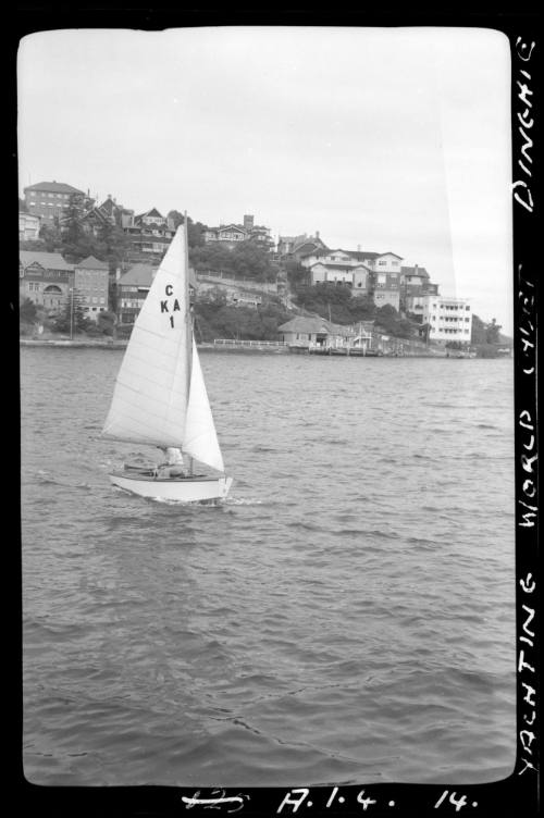 Yachting World cadet dinghies on Sydney Harbour