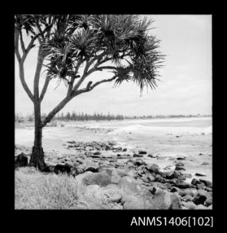 Negative depicting two boys fishing at a beach