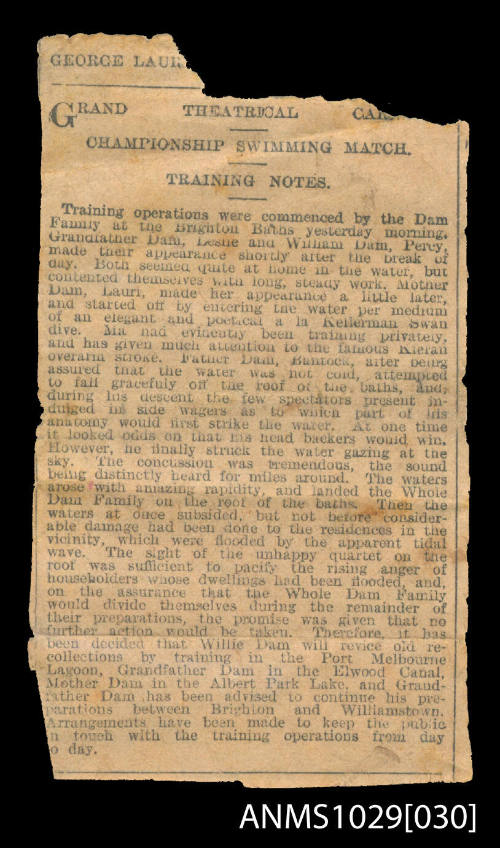 Newspaper article titled Grand Theatrical, Championship Swimming Match, Training Notes, which discusses the training operations commenced by the Dam family at the Brighton Baths