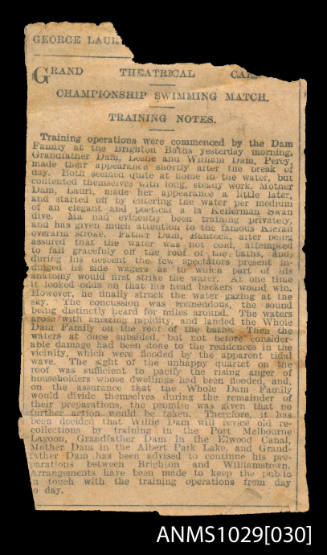 Newspaper article titled Grand Theatrical, Championship Swimming Match, Training Notes, which discusses the training operations commenced by the Dam family at the Brighton Baths