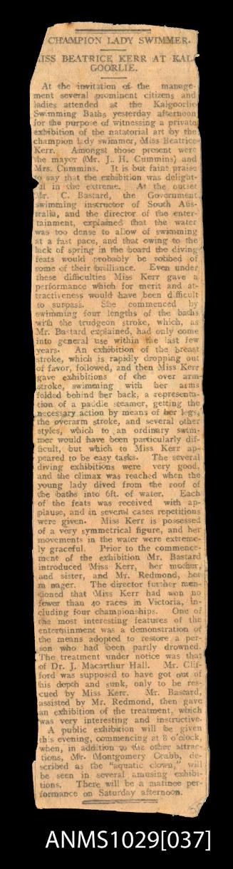 Newspaper clipping titled 'Champion Lady Swimmer, Miss Beatrice Kerr'