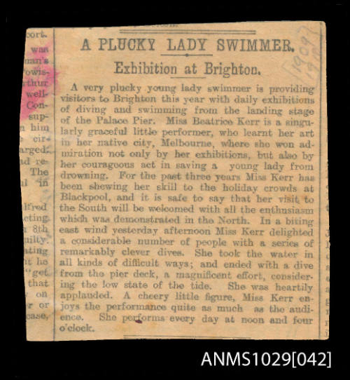 Newspaper clipping featuring Beatrice Kerr's displays at Brighton, England