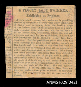 Newspaper clipping featuring Beatrice Kerr's displays at Brighton, England