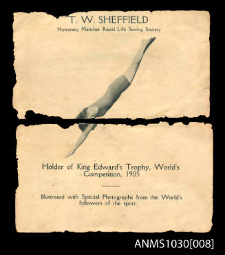 T W Sheffield, Honorary Member Royal Life Saving Society, Holder of King Edward's Trophy, World's Competition, 1905