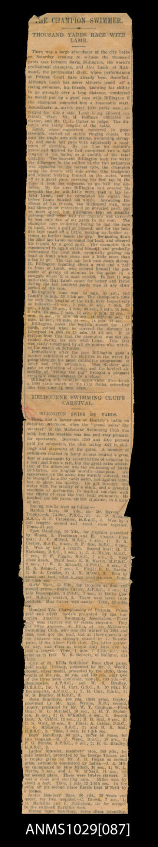 Two articles, one on race between David Billington and Alec Lamb, and the other on Melbourne Swimming Clubs Grand Ladies Day