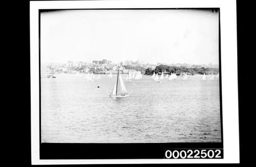 Regatta on Harbour