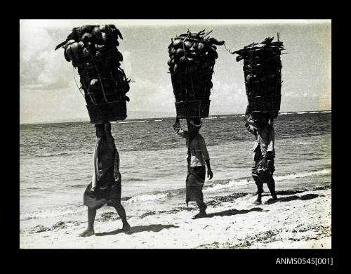 Three people carrying baskets of coconuts