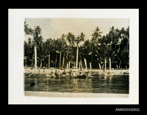 View of palm lined shoreline