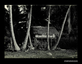 View of a hut amongst palm trees