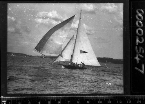 ARAWATTA sailing off Vaucluse, Sydney Harbour