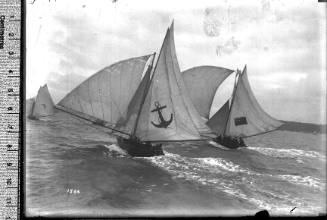 18-footers under sail on Sydney Harbour