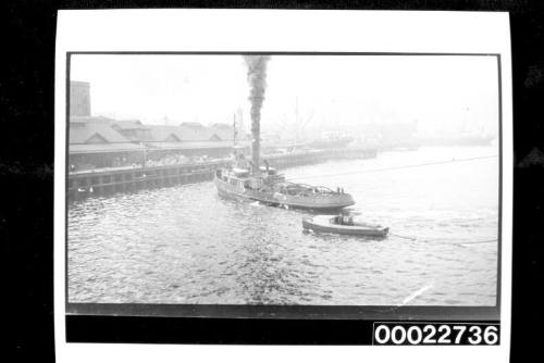 Launches, picnics and tugs on harbour