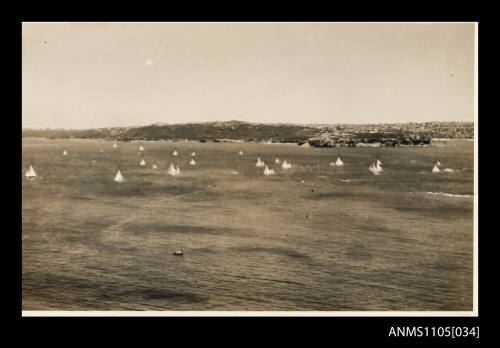 A yacht race on Sydney Harbour