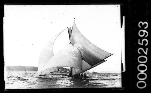 18-footer sailing on Sydney Harbour