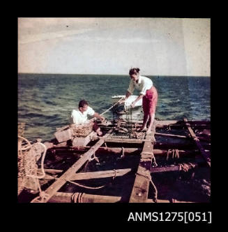 Colour negative of Yurie (or Yulie) and Denis George working with pearl cages on a pearl production raft