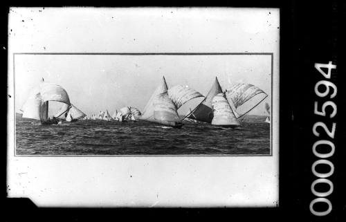 18-footers racing on Sydney Harbour