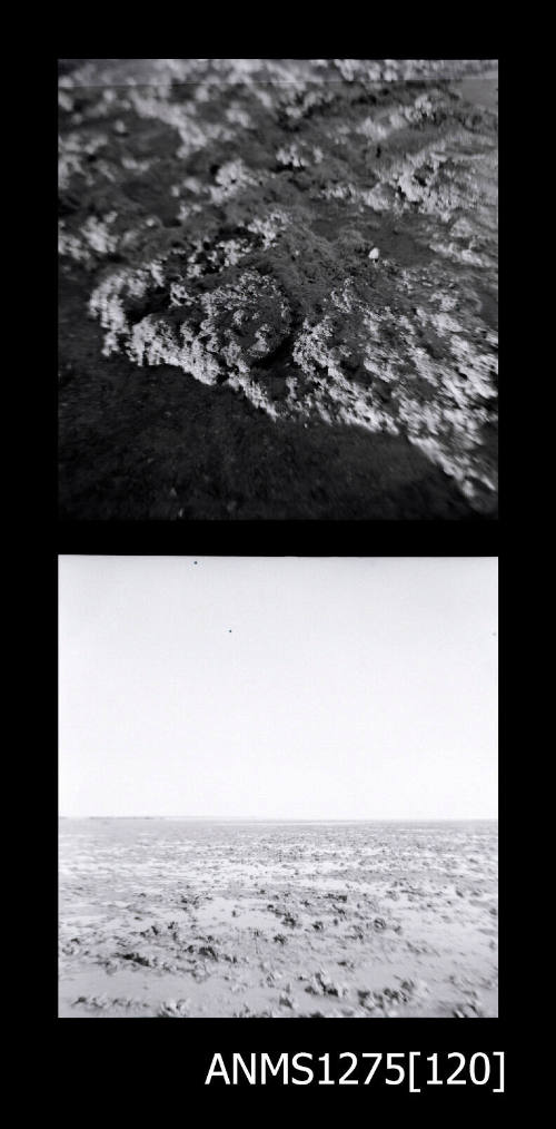 Two black-and-white negatives, joined together, probably of rocks lying in the sand