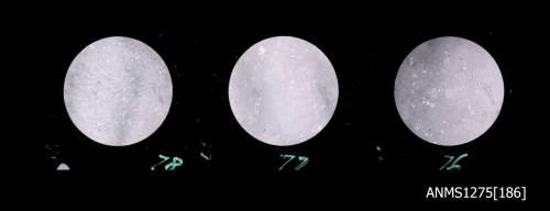 Three images, each of the formation of nacre as seen through a microscope
