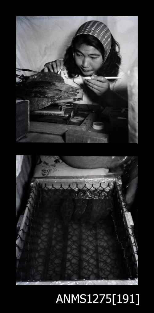 Two black-and-white negatives, joined together, the first of Yurie (or Yulie) George seeding a pearl shell, which is being held in a clamp, and the second of a pearl cage holding several pearl shells