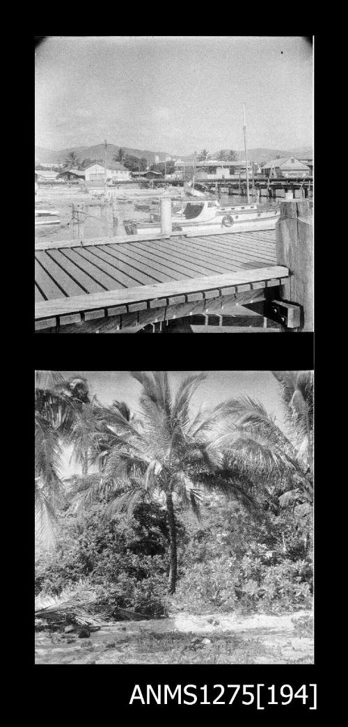 Two black-and-white negatives, joined together, the first possibly of a building and wharf, and the second of a palm tree and other vegetation