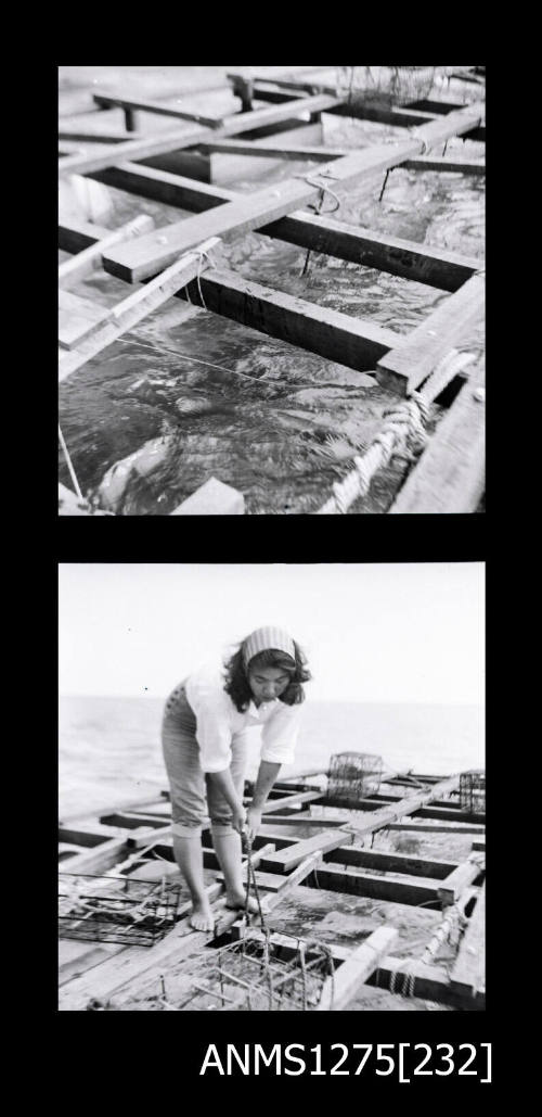 Two black-and-white negatives, joined together, the first of ropes handing on wooden beams on a pearl raft, and the second of Yurie (or Yulie) George pulling a pearl cage out of the water with a rope, on a pearl raft