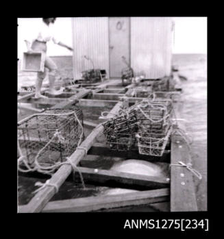 Pearl cages sitting on the wooden beams of a pearl raft