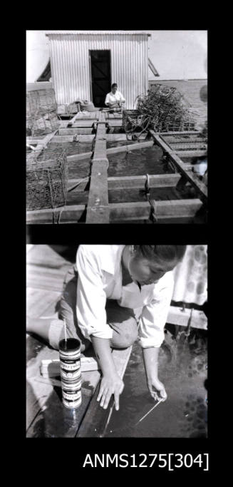 Two black-and-white negatives, the first of Yurie (or Yulie) George sitting in front of a shed on a pearl raft, and the second of Yurie using a thermometer on the pearl raft