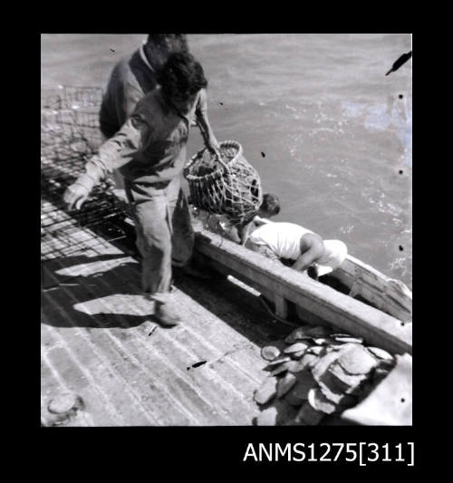 A person carrying a pearl shell net, walking on the edge of a boat, next to a smaller boat