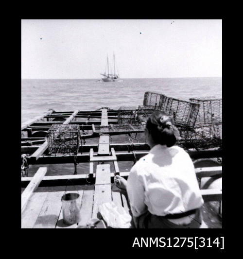 A woman, probably Yurie (or Yulie) George, with her back to the camera, looking over a pearl raft with pearl cages, to a boat in the background