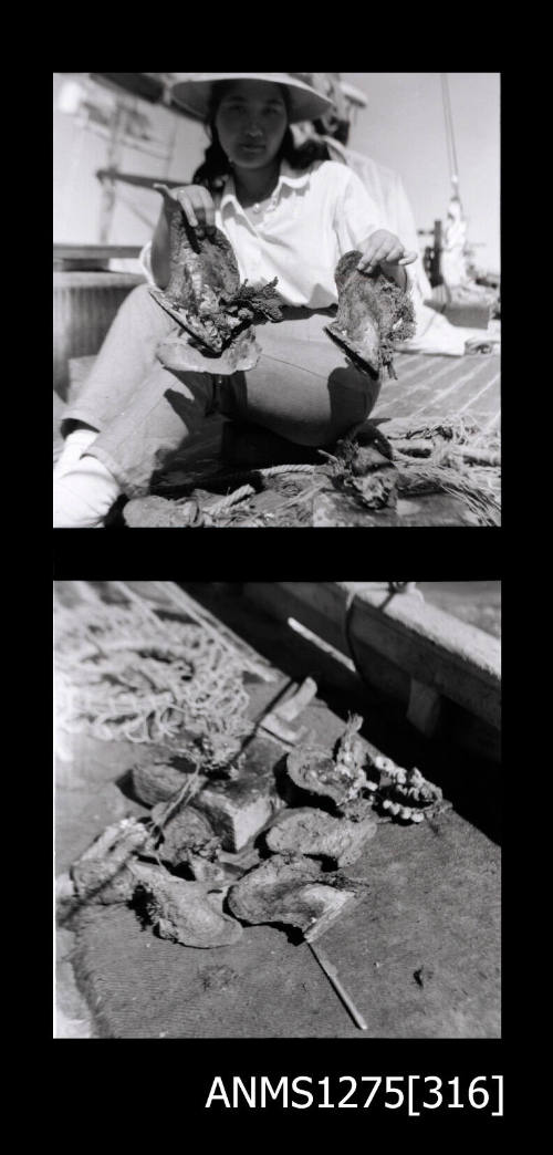 Two black-and-white negatives, the first of a woman, probably Yurie (or Yulie) George, sitting on the deck of a boat holding up pearl shells, and the second image of pearl shells lying on the ground