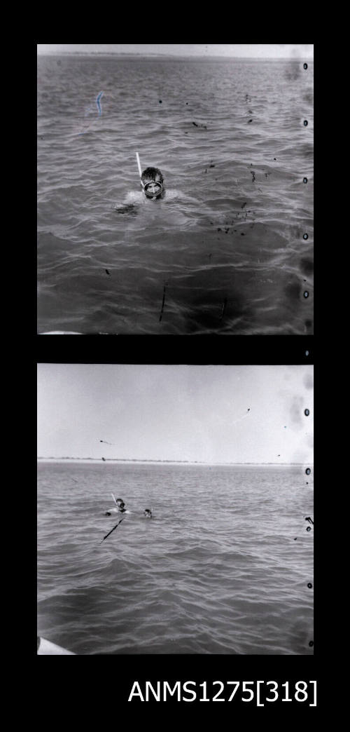 Two black-and-white negatives, the first of a person swimming in the water wearing a scuba diving mask, and the second of two people wearing scuba diving masks