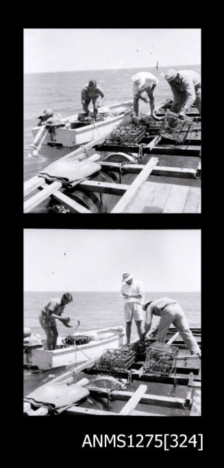 Two black-and-white negatives, both of men pulling up pearl cages out of the water and onto the pearl raft, with a boat docked next to a raft, with a man standing in the boat