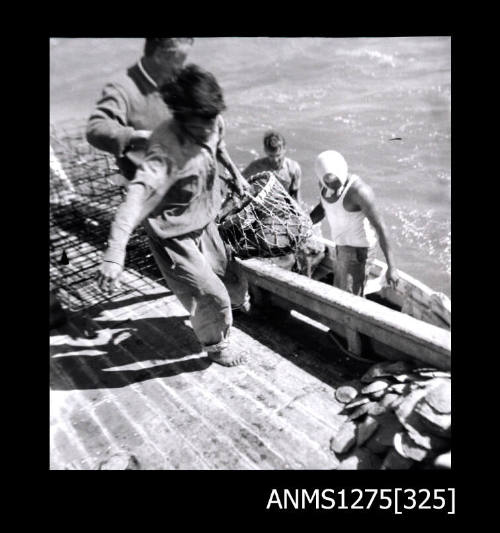 Two people standing on the side of a boat, with a smaller boat containing two people to its side, lifting pearl baskets out of the smaller boat