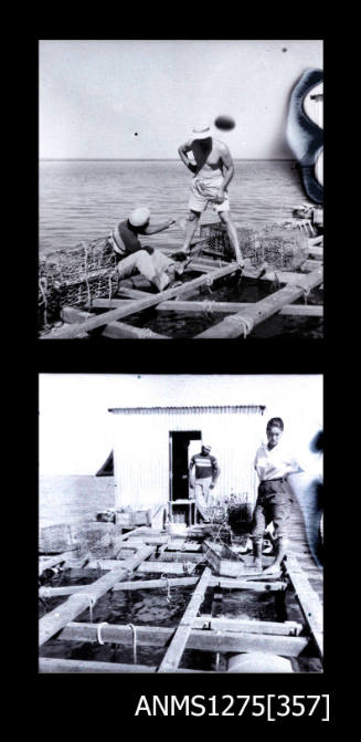 Two black-and-white negatives, the first of two people on a pearl raft, surrounded by pearl cages, and the second of two people standing on a pearl raft in front of a shed