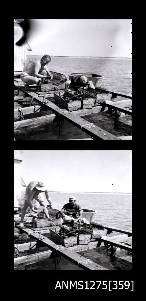 Two black-and-white negatives, joined together, of two people working on a pearl raft