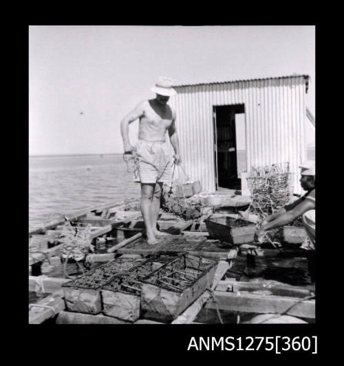 A man standing in on a pearl raft in front of a shed, holding onto a pearl cage with rope