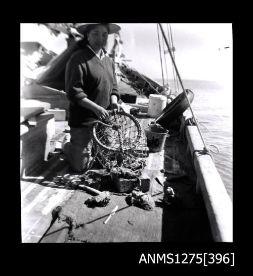 A person kneeling on the deck of a boat, emptying a pearl basket of its pearl shells