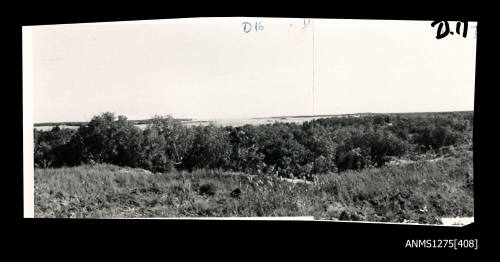 Photograph of, composed from two photographs glued together, of grass and trees, with a waterview in the background